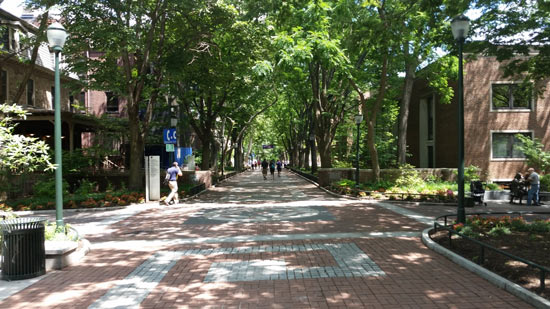 U Penn campus